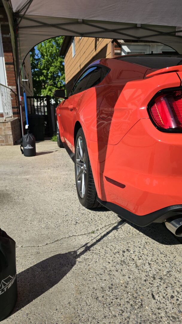 Ceramic Coating Applied Mustang 5.0